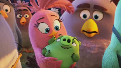 الطيور الغاضبة مدبلج للعربية Angry Birds 2016
