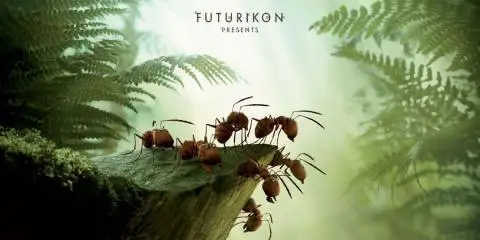 فيلم حرب النمل الاحمر والاسود وادي النمل المفقود